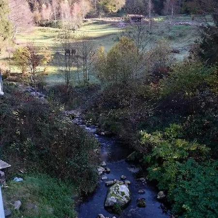 Le Balcon Du Menaurupt Apartment Sapois (Vosges)